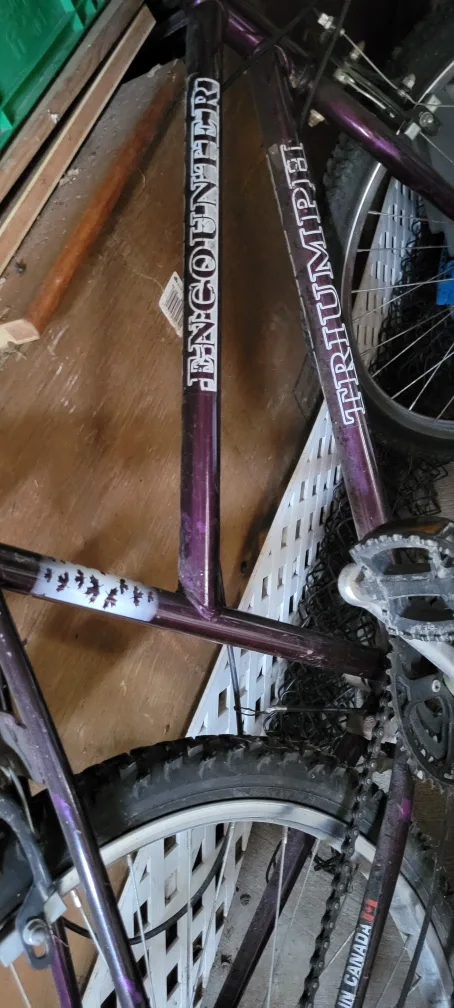 Triumph Encounter Bike & JumpTek Trampoline image indicator(3)