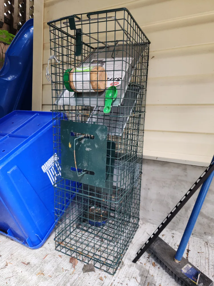 Squirrel trap thumbnail