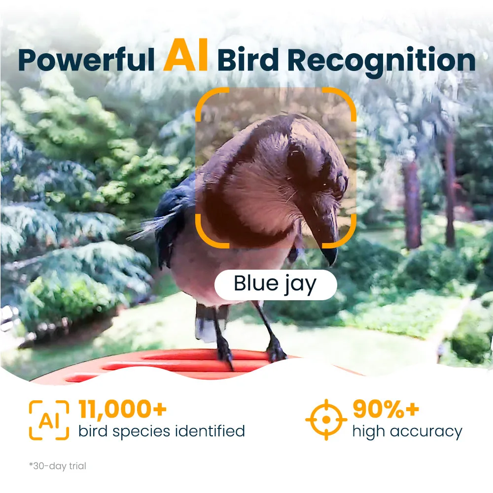 Vinguys Smart Bird Feeder Camera image indicator(4)