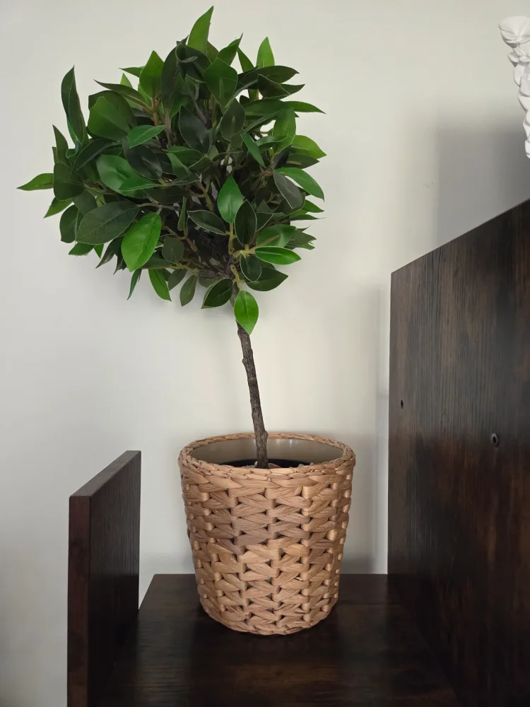 Artificial Topiary Tree in Woven Pot thumbnail
