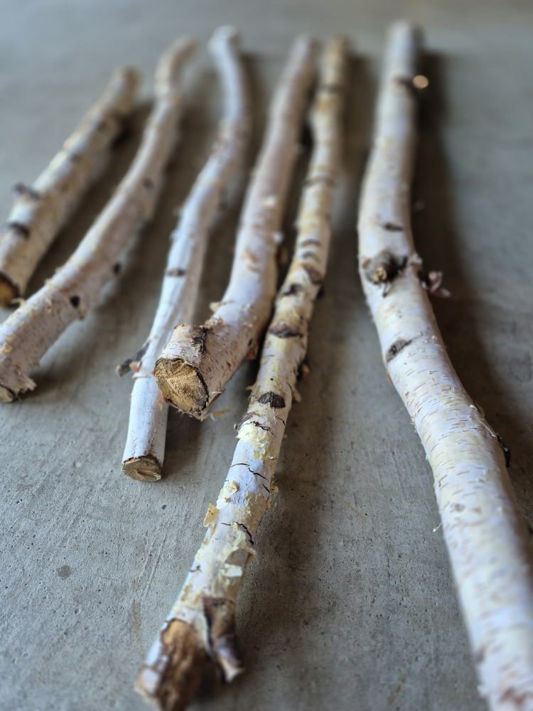 Beautiful White Birch Branches - natural - photo 3