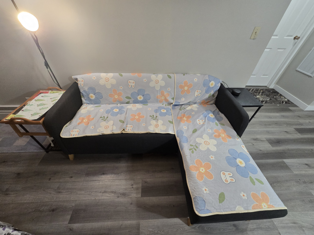 IKEA LINANÄS Dark Gray Sofa with Chaise