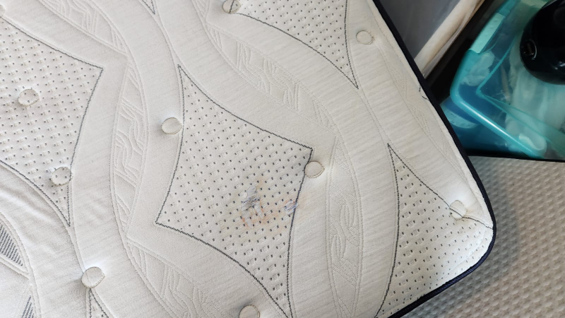 Sealy Proback Posturepedic Mattress - photo 5