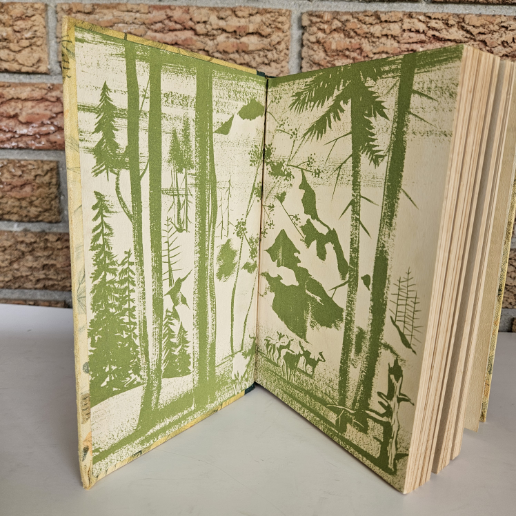 Vintage 1946 Rainbow Classics "Heidi" Illus. Johanna Spyri - photo 5