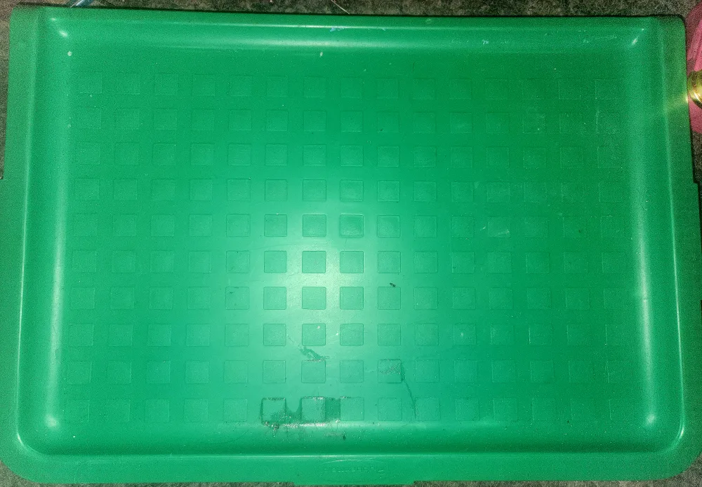 Green Plastic Tray thumbnail