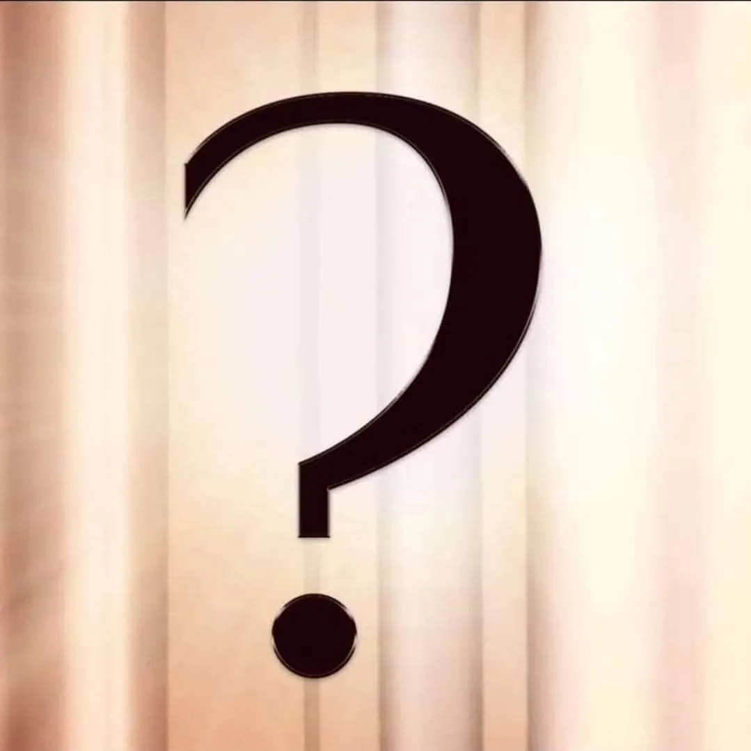 *The Winter Brand* Signature Beanie Mask image indicator(3)