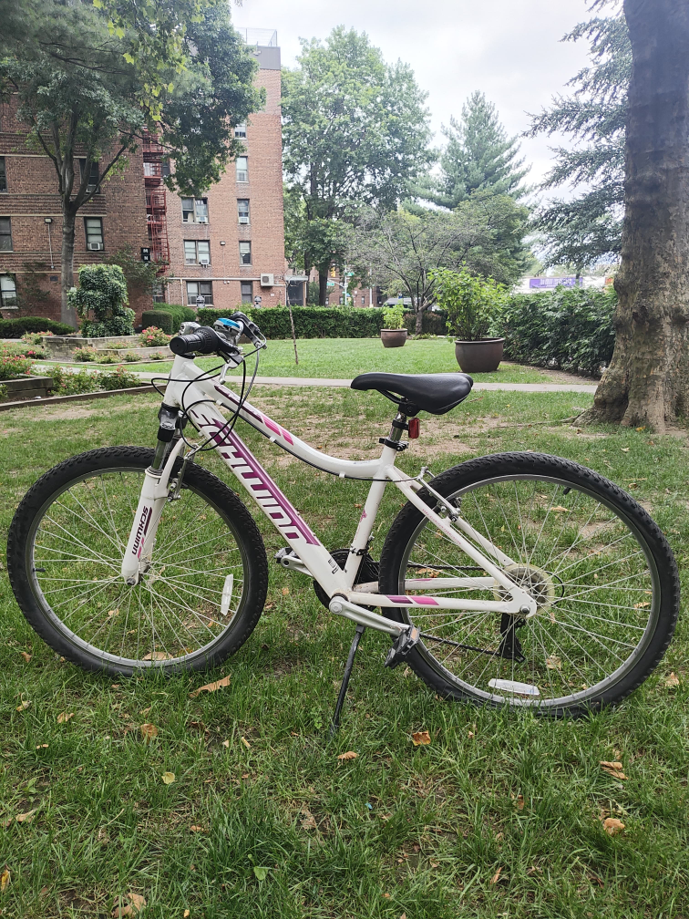 Schwinn Mountain Bike - White & Pink