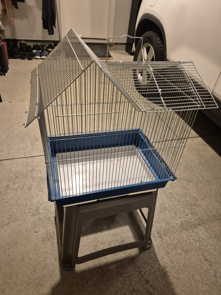 Bird Cage - Metal Wire Frame - photo 2