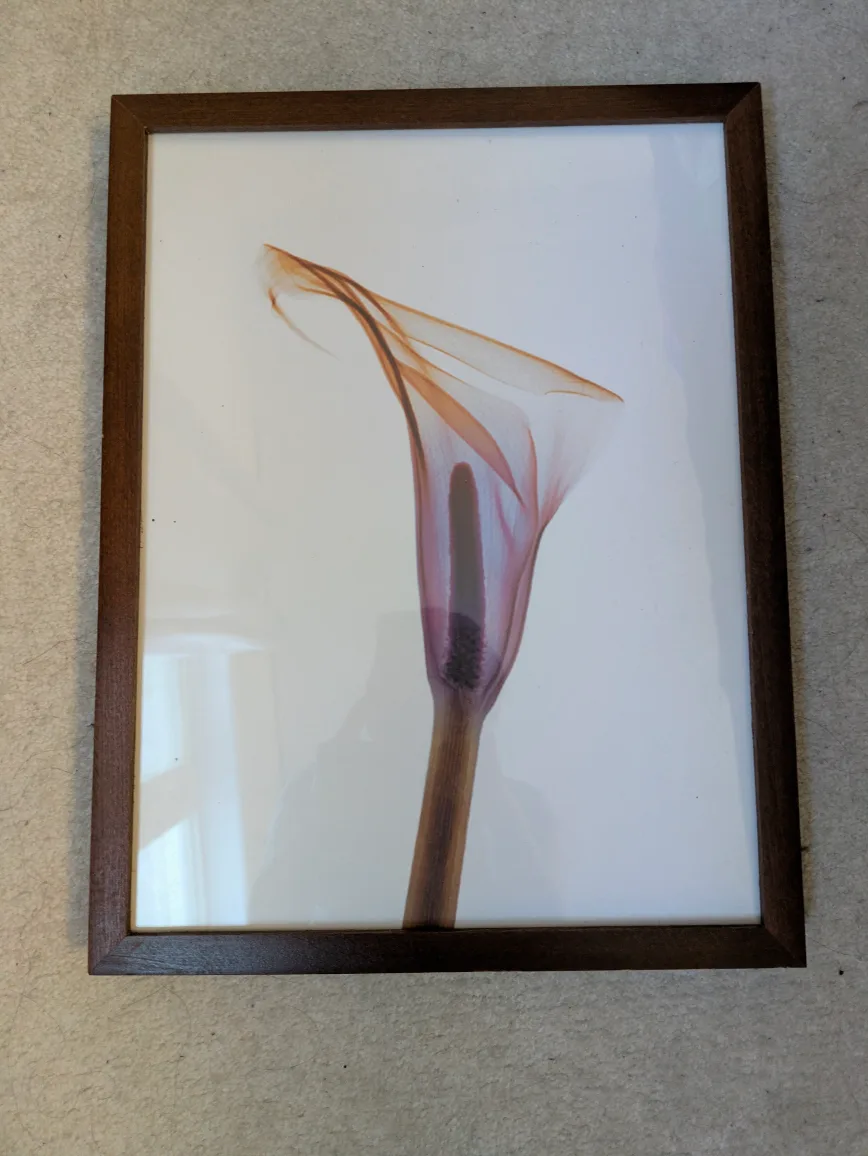 IKEA RIBBA Frame with Print thumbnail