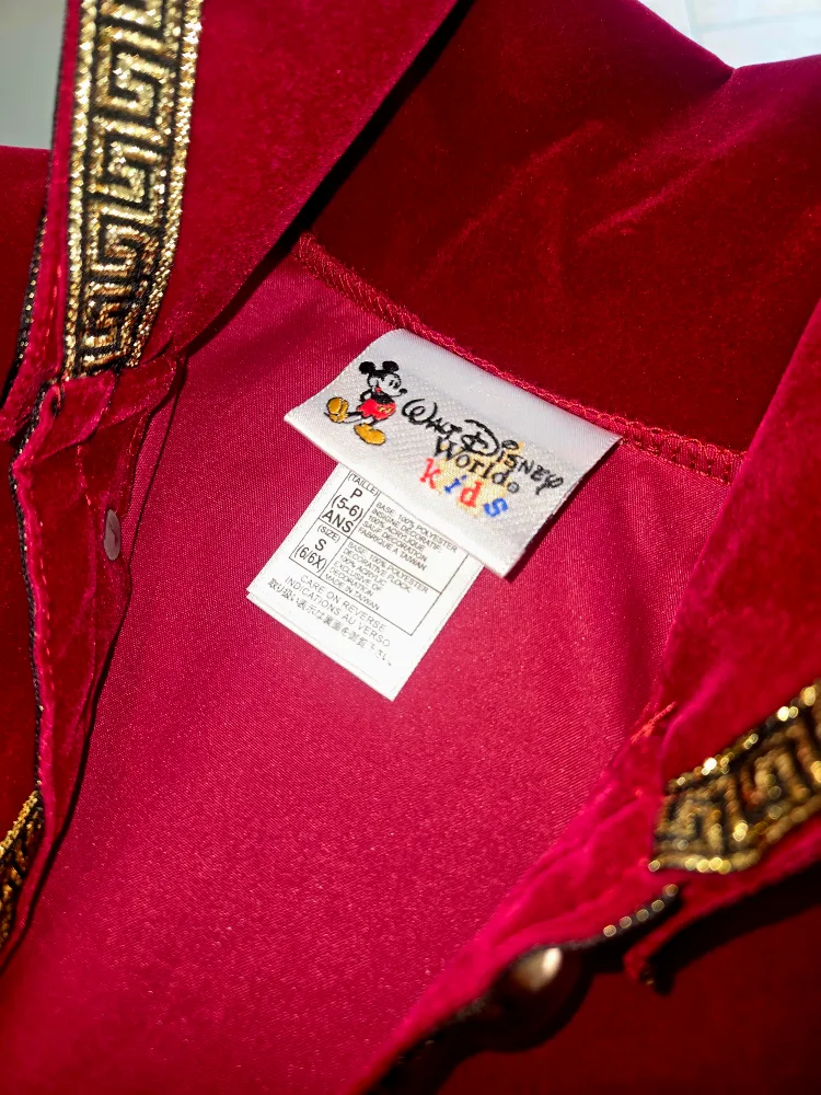 Disney World Kids Peter Pan Costume image indicator(8)