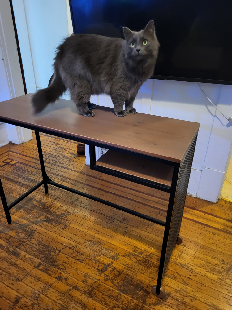 IKEA FJÄLLBO Laptop Table - Black, 100x36 cm - photo 5