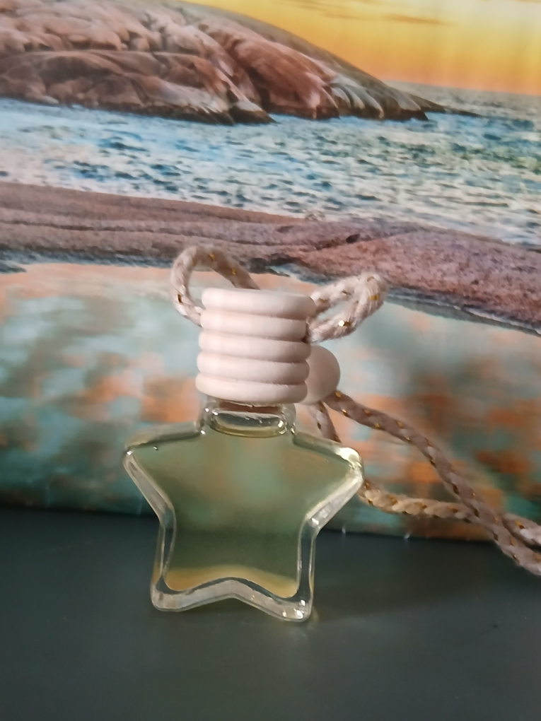 Essential Oil Air Freshener Gift Ready