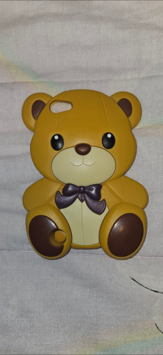 Cute Teddy Bear iPod Case