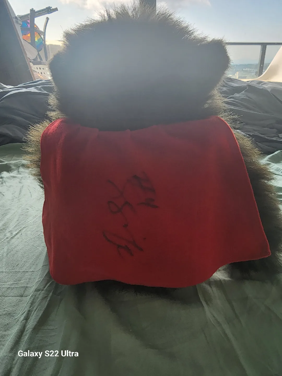Signed Plush Toy Bear image indicator(2)