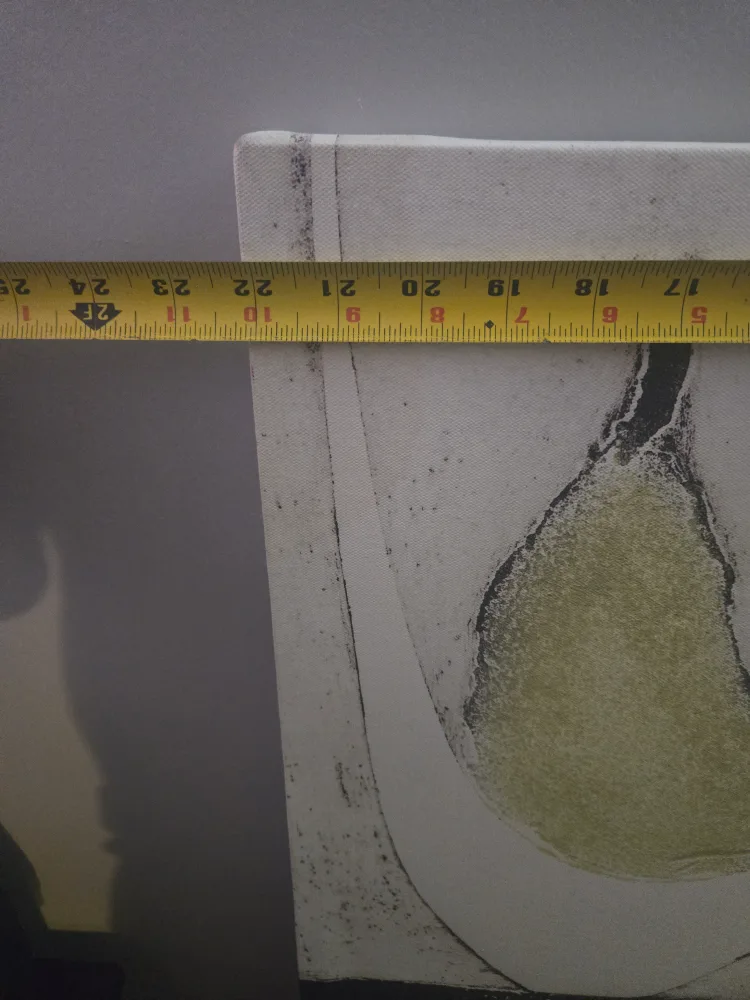 Pear Print Canvas Art - Set of 2 image indicator(3)