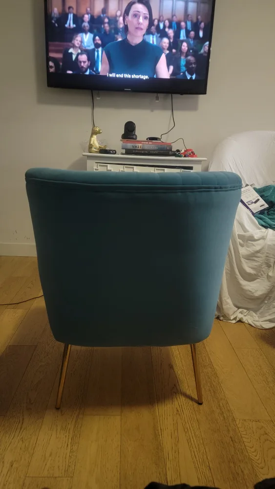 Blue Velvet Accent Chair with Gold Legs image indicator(3)