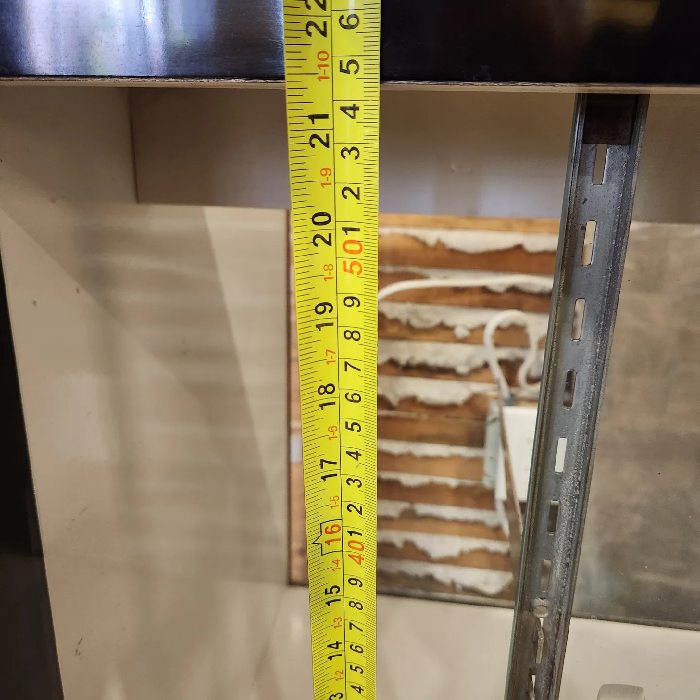 🥕FREE Display Cabinet - LOCATION in description image indicator(9)