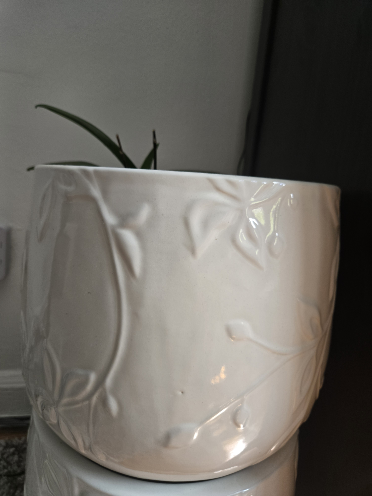 🥕 Large White Ceramic Embossed Planter 2 pieces