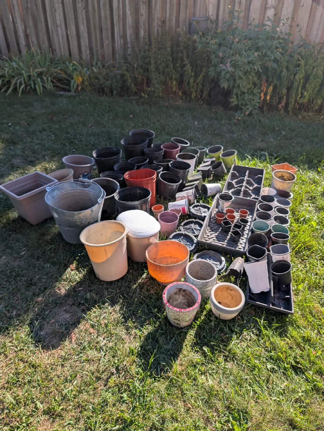 lot of assorted plant pots, tulip bulb tool,random things thumbnail