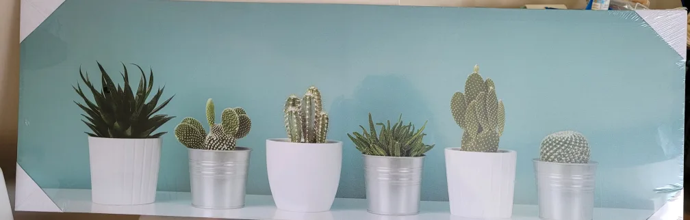 Cactus Wall Art - New in Package thumbnail
