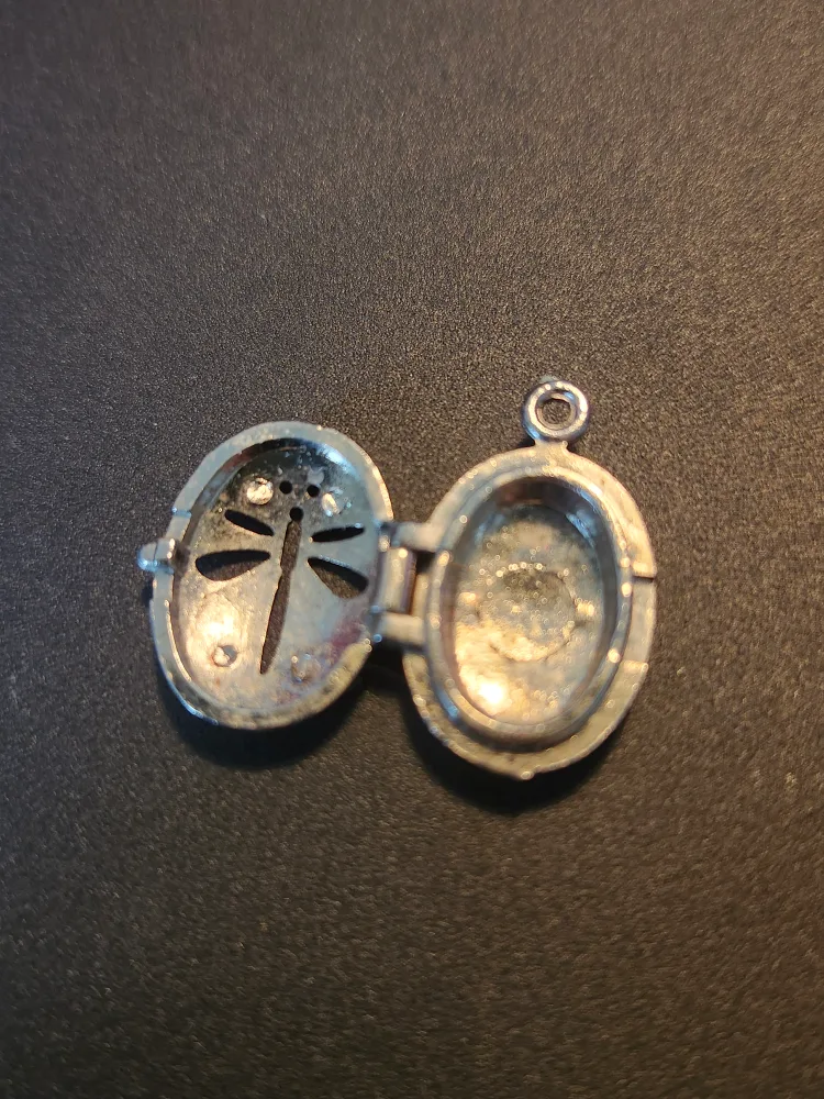 Dragonfly Locket thumbnail