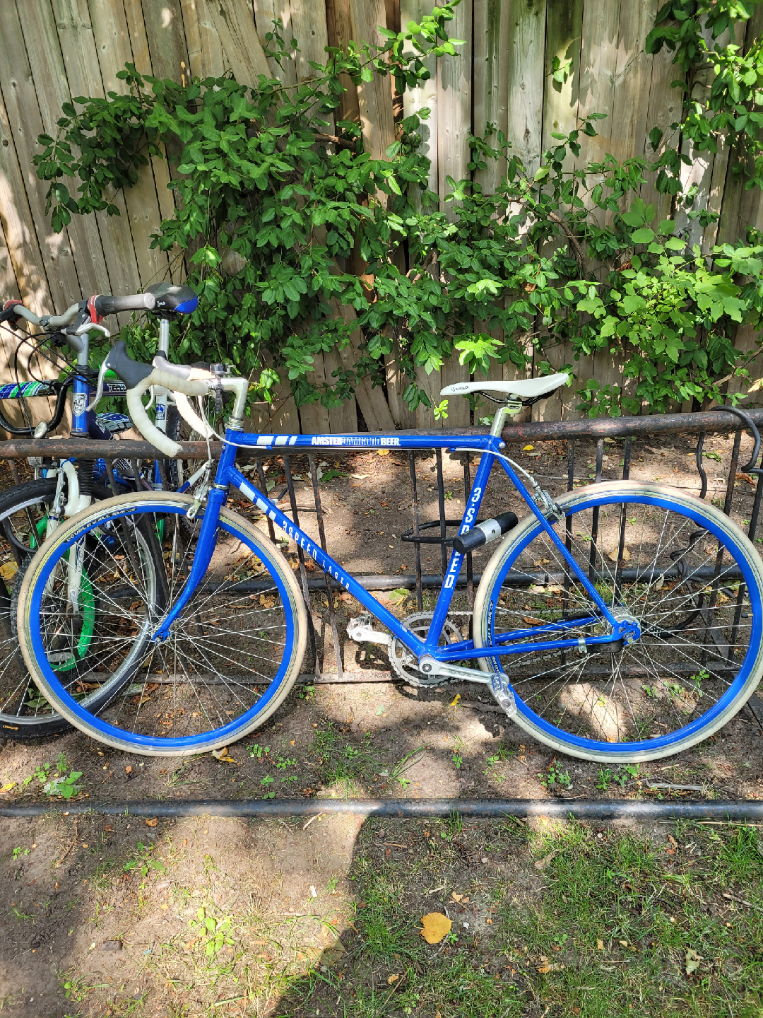 Blue Amsterdam 3 Speed Lager Bike-special edition