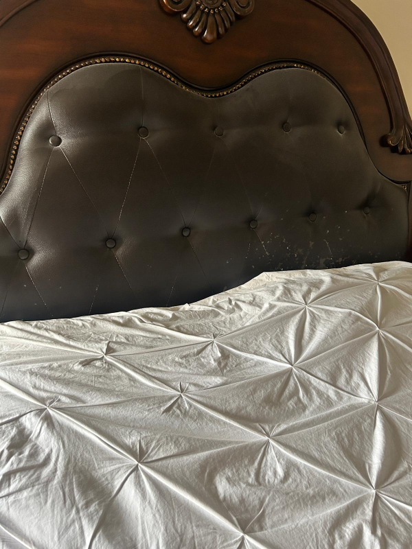 furniture - photo 3
