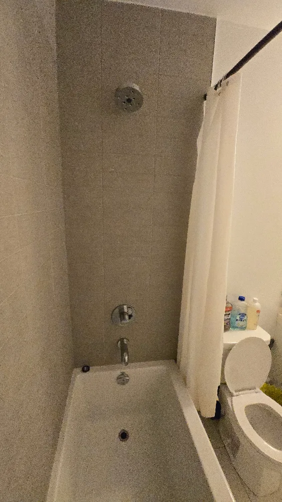 Private Bedroom and Bathroom for rent Downtown (403 Church) image indicator(9)