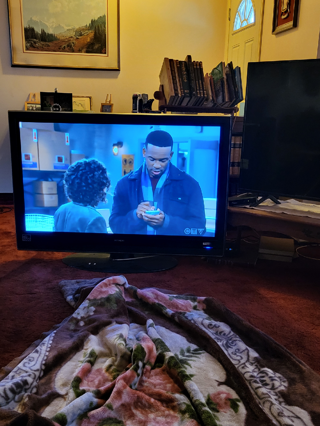 Hitachi Plasma TV P50H401