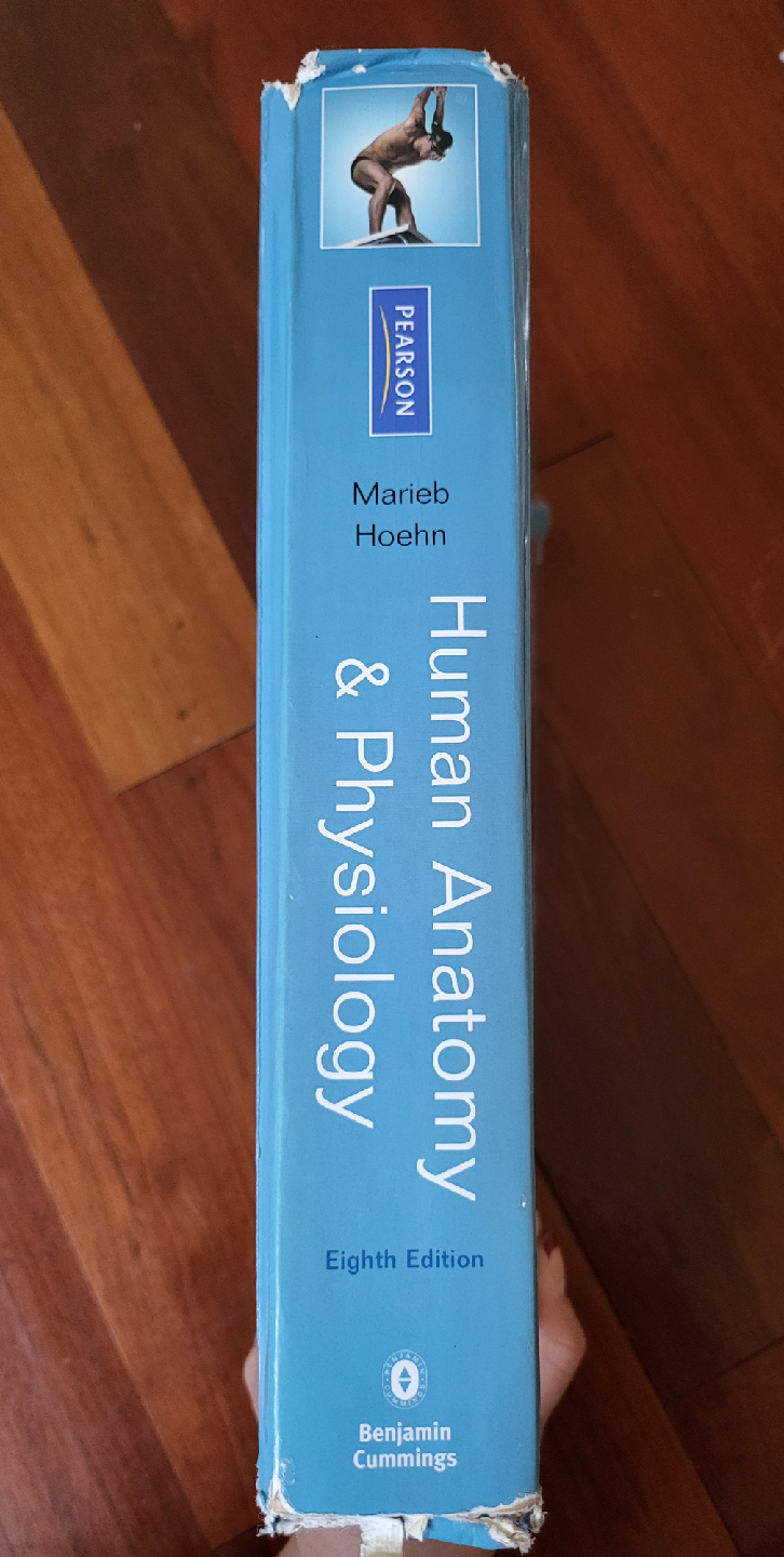 Human Anatomy & Physiology, 8th Edition by Marieb & Hoehn - photo 2