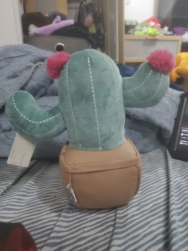 blooming cactus plush image indicator(2)