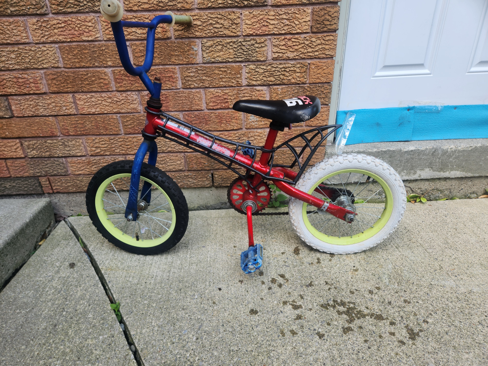 Kids' Rock It Bike - photo 5