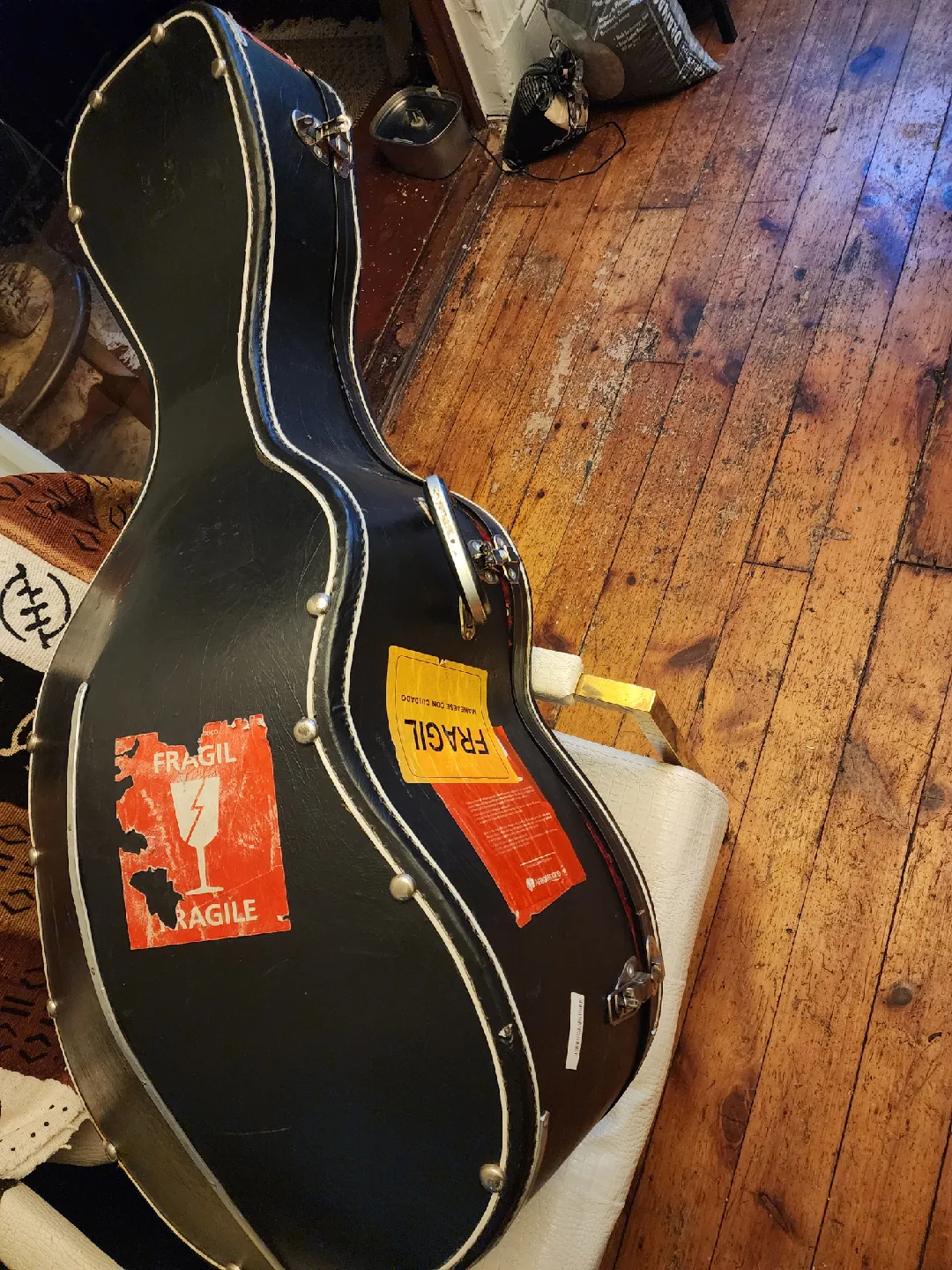 Cello Hard Case 🥕 image indicator(2)