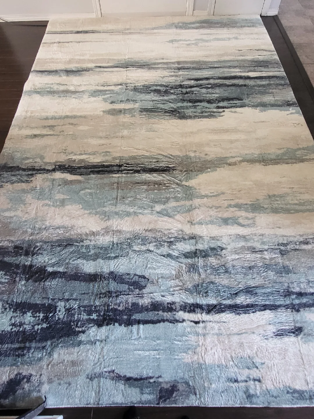 6.9ft X 10ft Area rug (Brand new) image indicator(2)