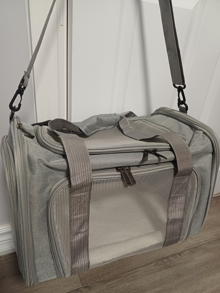 Grey Pet Carrier - 17x11x11 inches
