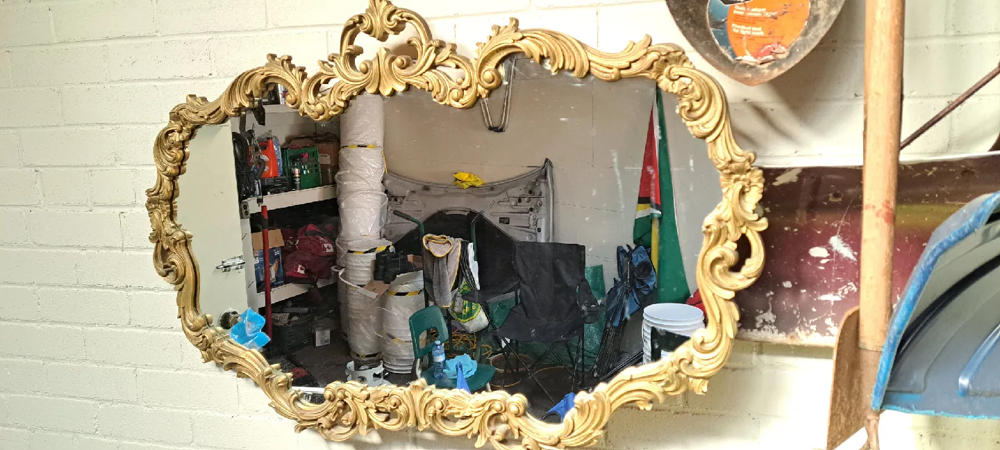 Ornate Gold Framed Mirror image indicator(3)