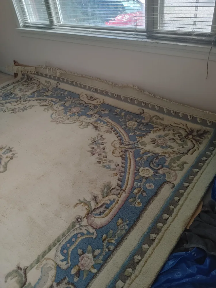 🥕SUPER LARGE RUG 14 FEET 6"  X  9 FEET 9" image indicator(2)