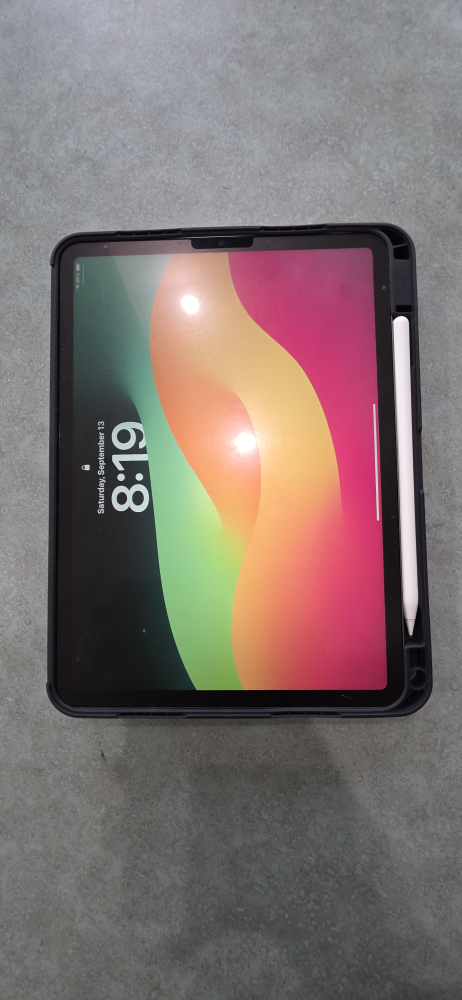 iPad Pro 11” (4th Gen, 2020) – 256GB + Apple Pencil + Pouch