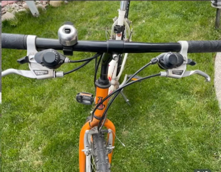 21 Speed Raleigh Bike image indicator(3)