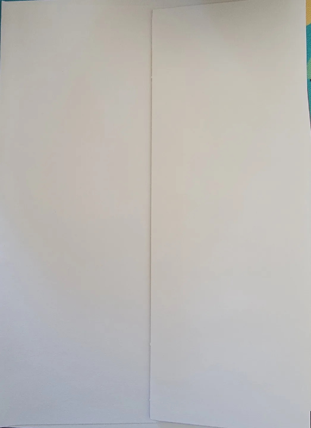 🥕 The Glow Oracle Cuttlefish Card image indicator(3)