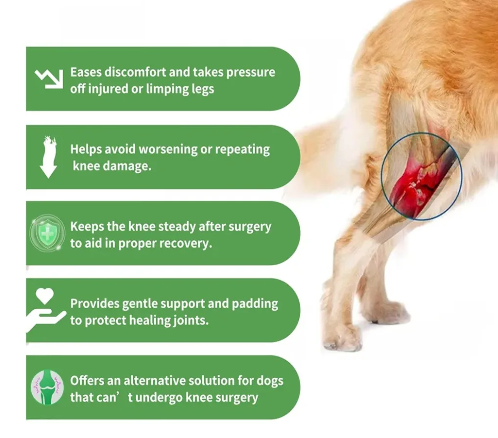 JINGY Dog Knee Brace, Size XS image indicator(6)