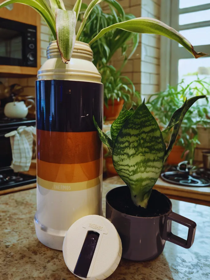 Vintage Thermos Bottle - Retro Striped Design thumbnail