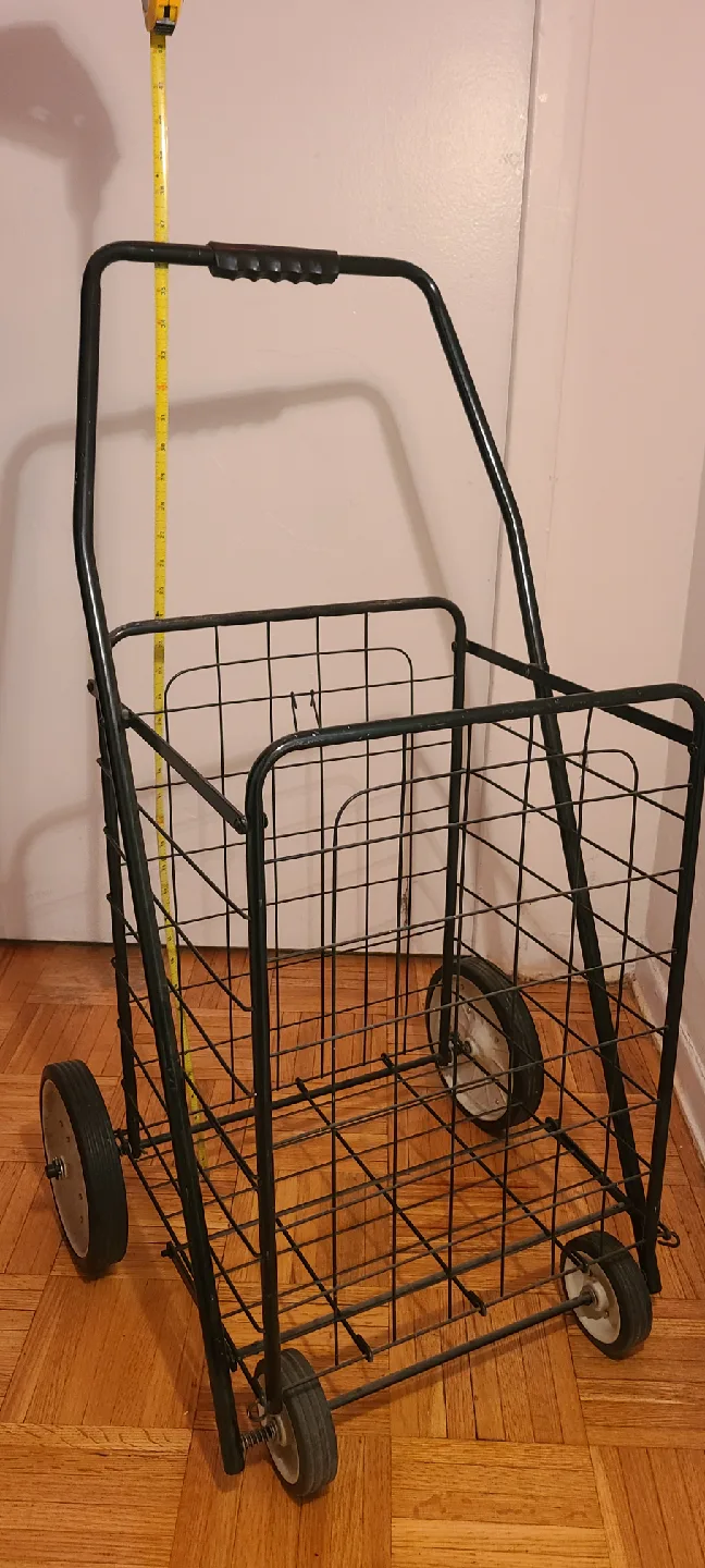Shopping Buggy thumbnail