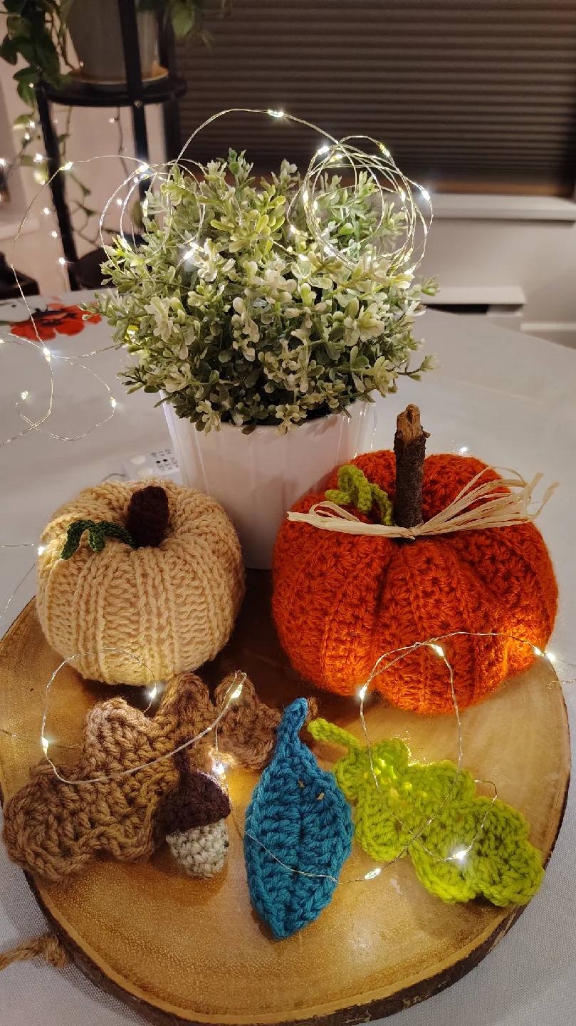 Crochet Pumpkins & Fall Decor image indicator(2)