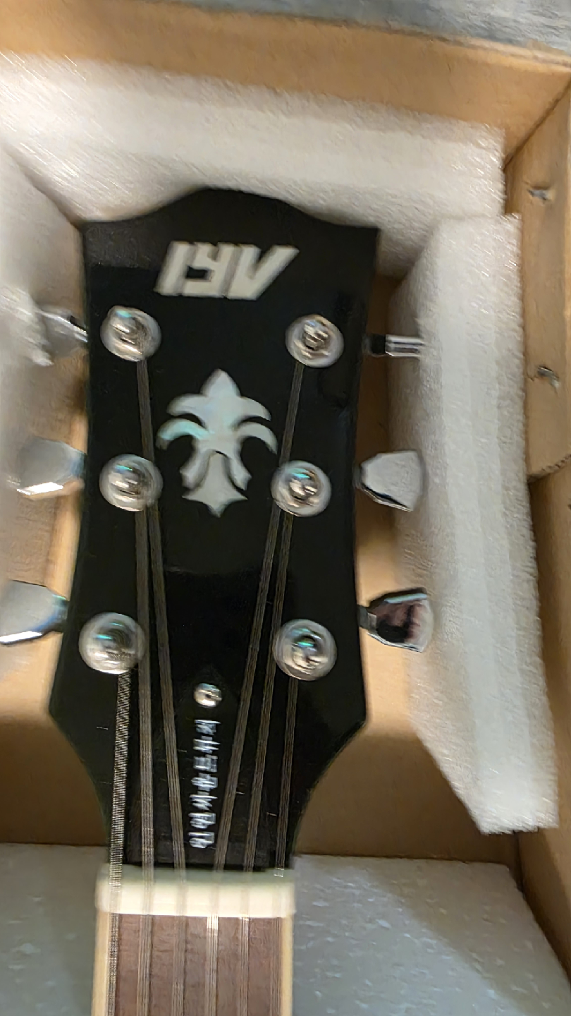 IYV les paul style guitar - photo 5