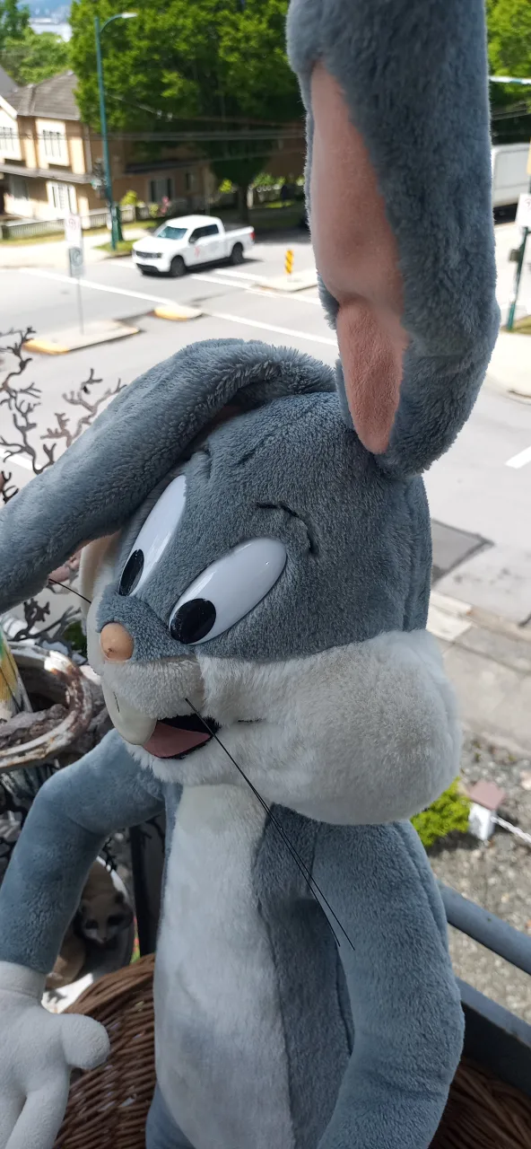 Large Bugs Bunny Plush Toy image indicator(2)