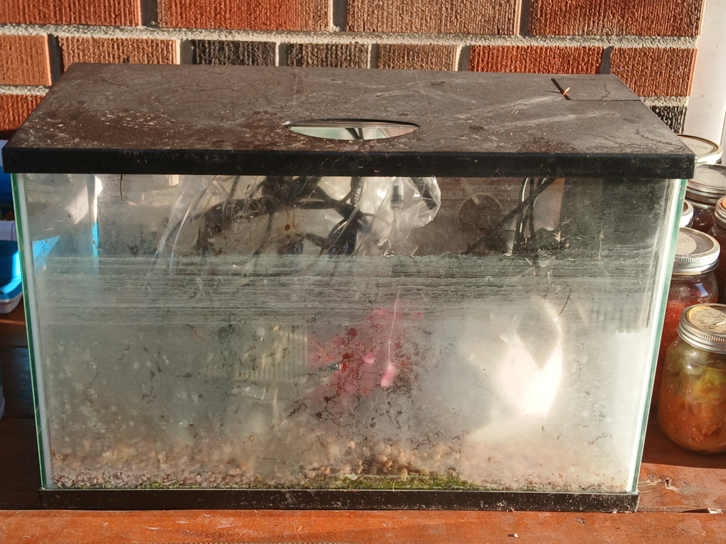 Used Fish Tank