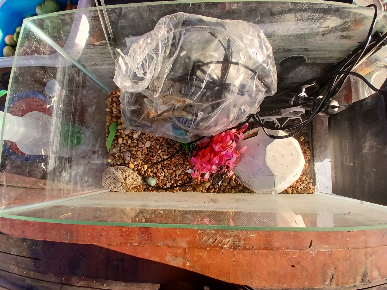 Used Fish Tank - photo 2