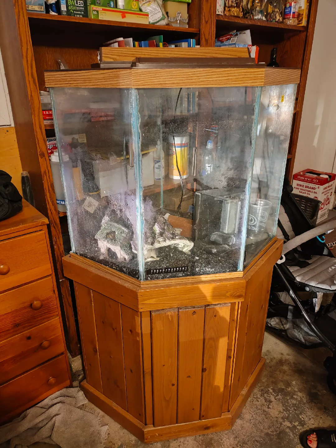 fish tank thumbnail