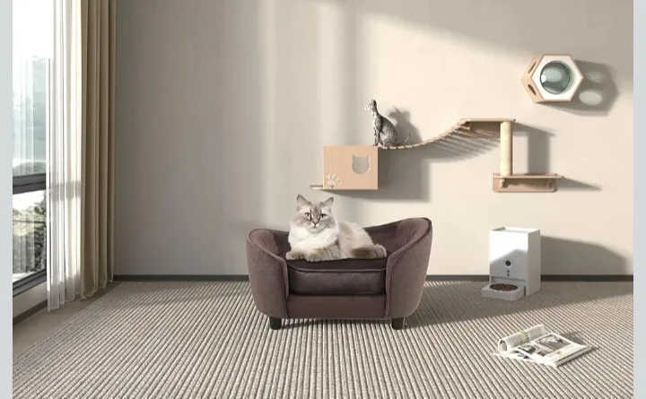 🥕   Pet Bed Sofa, Velvet Cat Couch thumbnail